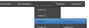 Pure CSS3 Multi Level Drop Down Navigation Menu